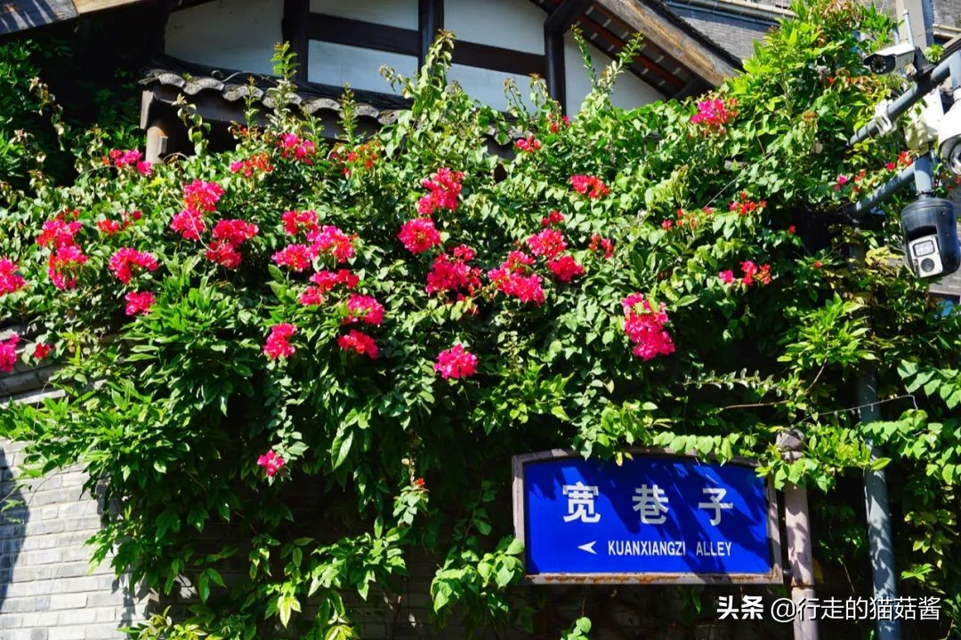 成都，为了吃值得专程来一趟，6处必打卡景点+当地人都爱的美食