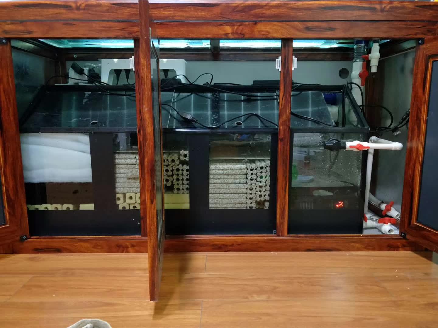 鱼缸养锦鲤鱼技术大全,缸养小锦鲤鱼的基本方法