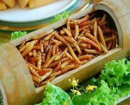 竹林里的美食,竹林里吃美食