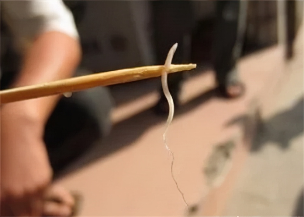 墨西哥盲族小孩,墨西哥盲族部落