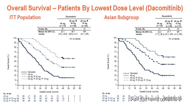 新认识！达可替尼大力出奇迹！埃克替尼低毒高性价比