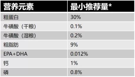 猫咪孕期注意什么,猫咪孕期全方位指南