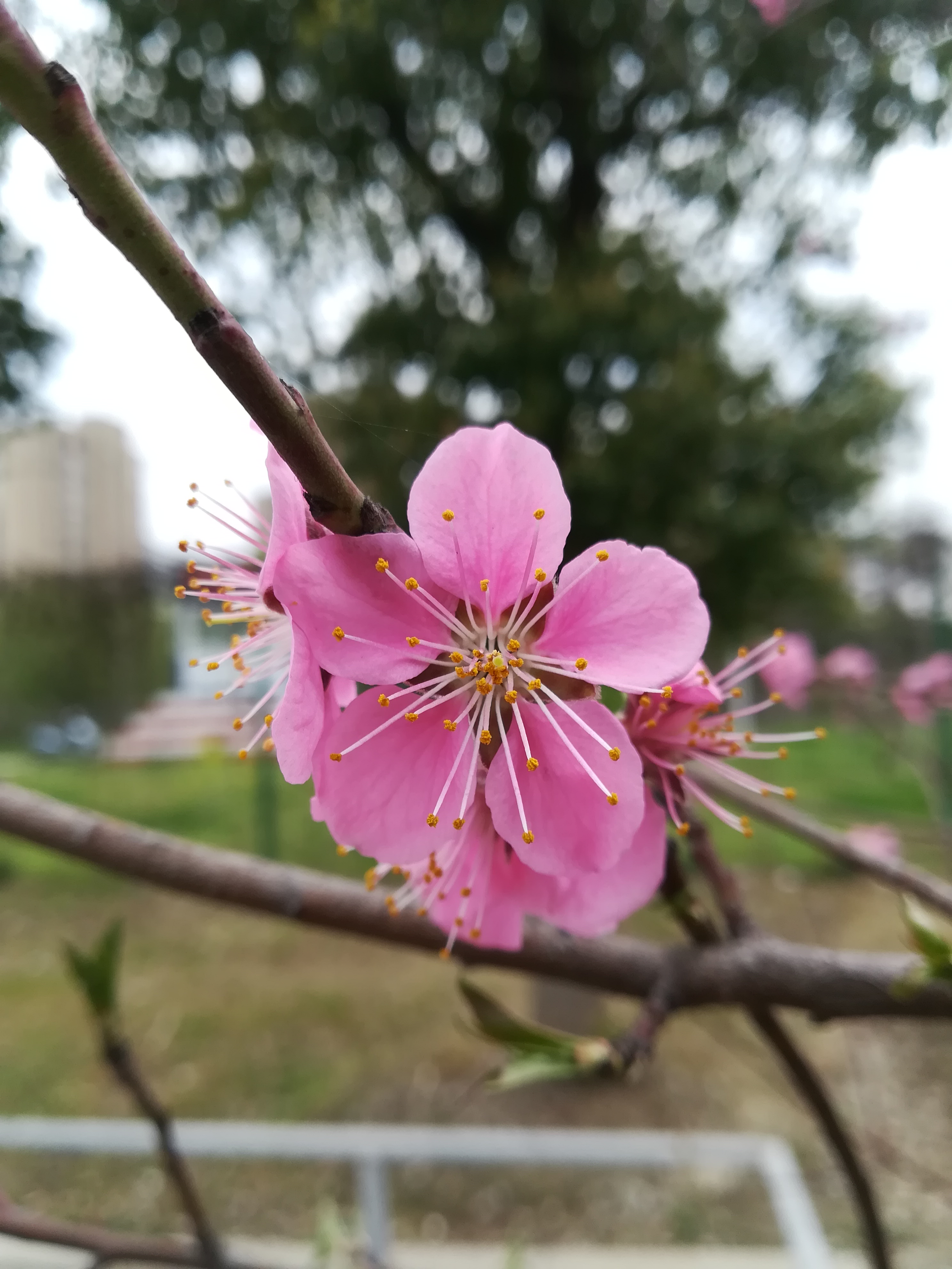 苏州越溪永旺梦乐城,苏州新区永旺梦乐城