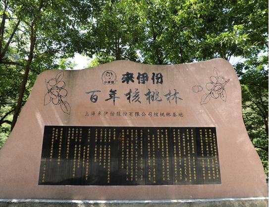 吃货们吃很多食物,吃货一口吃下好多种美食