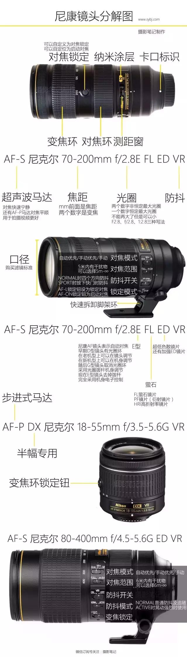 19个冷知识分享,19条有趣的冷知识大全