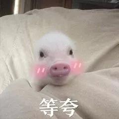 广州不满半年怎么办理居住证,广州不办居住证有什么影响