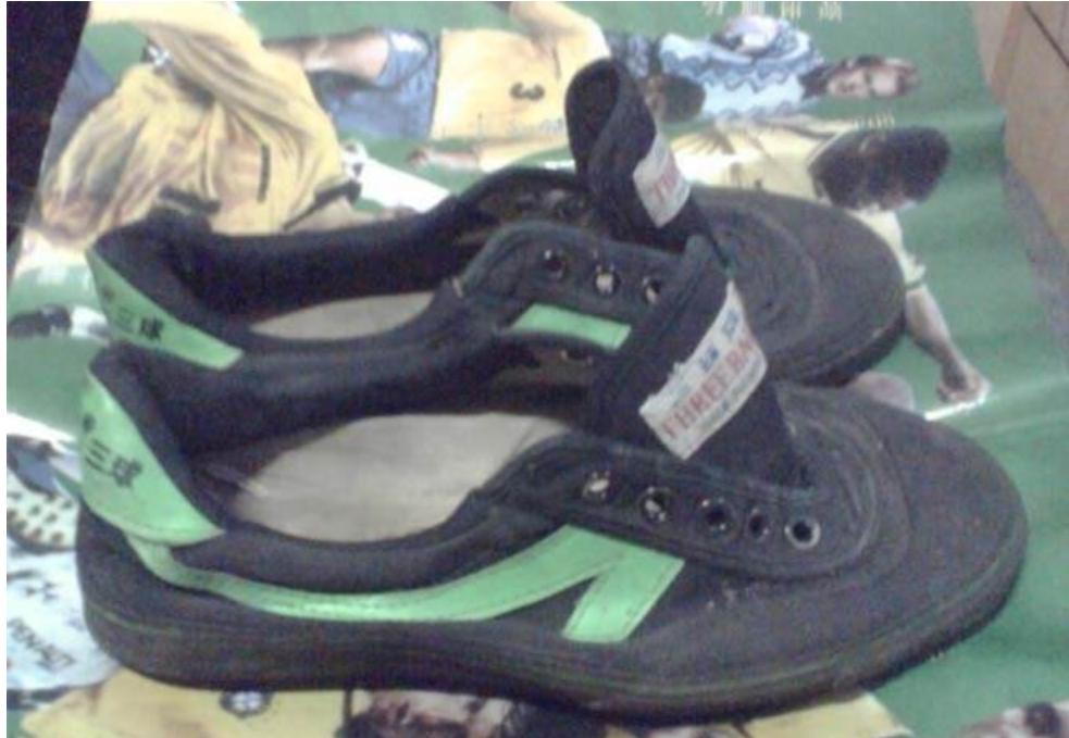 重庆崽儿电视剧全集,重庆崽儿与东北虎