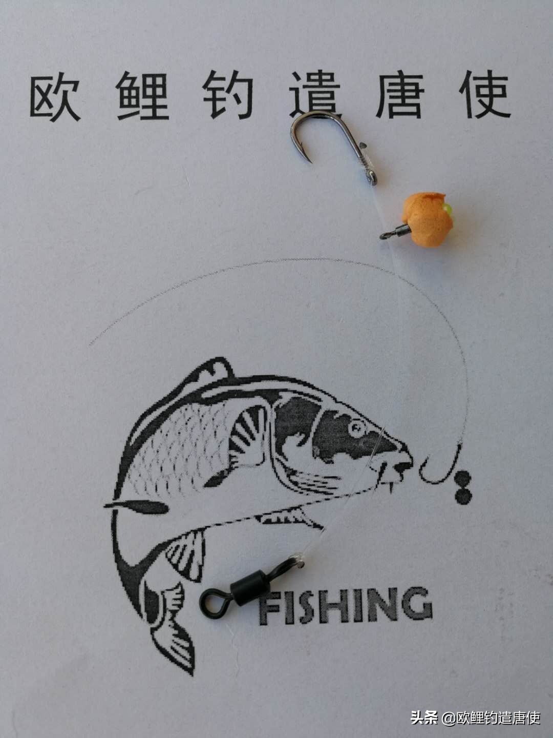 话说欧鲤钓最新消息,话说欧鲤钓鱼完整版