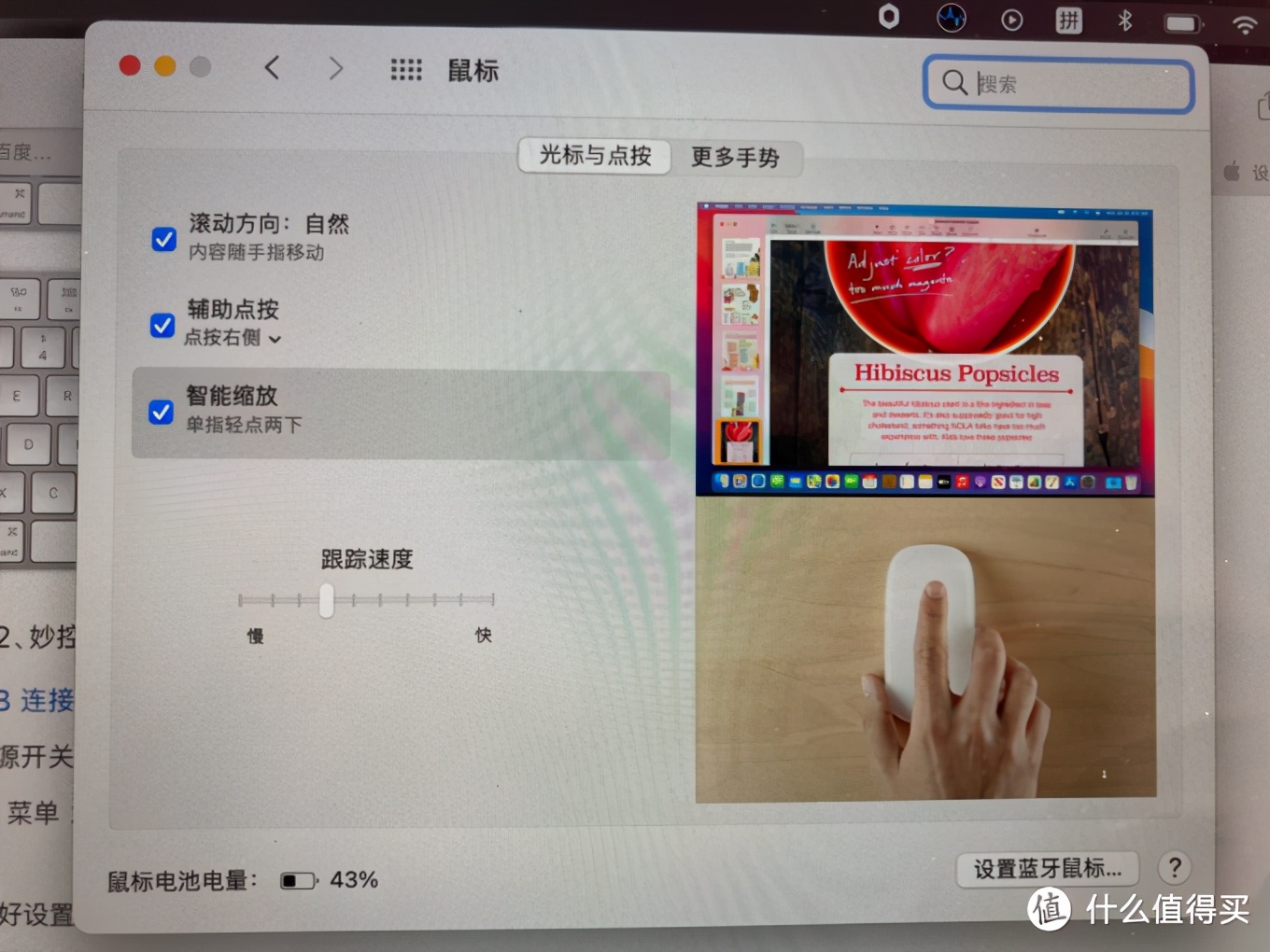 在闲鱼买苹果笔记本心得,苹果适合入手什么鼠标