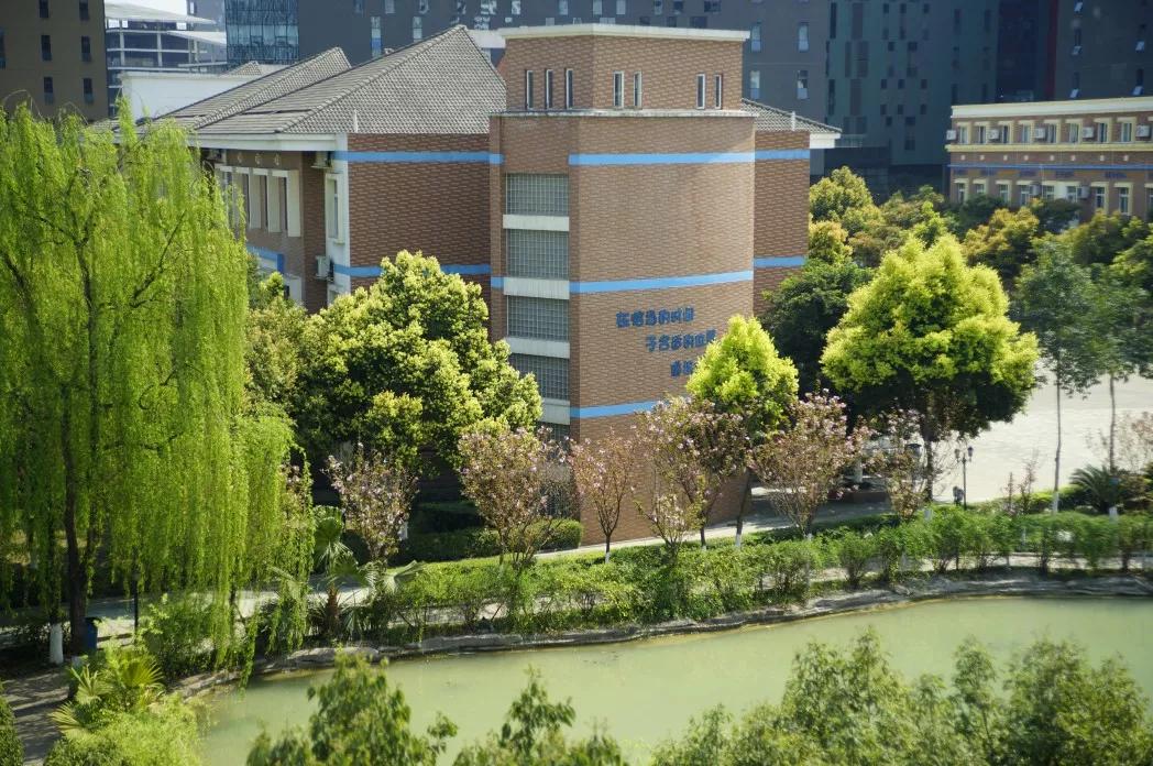 美视国际学校2020年重点率,美视国际学校收费