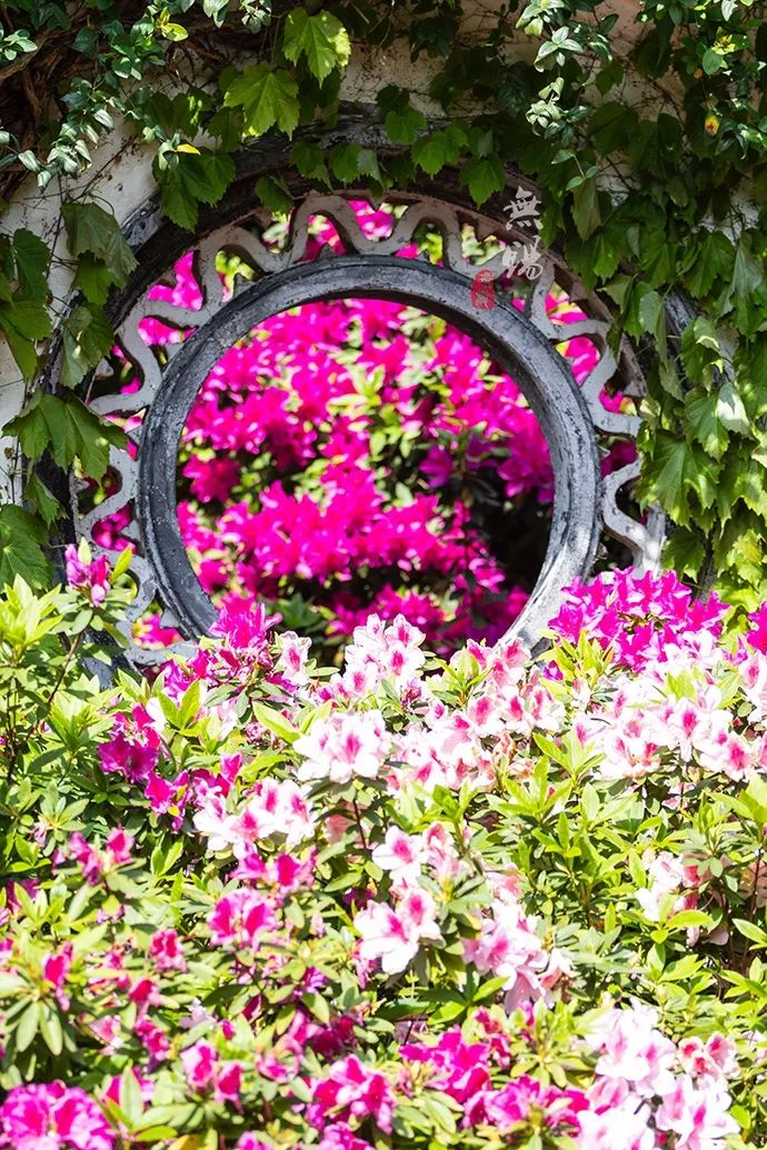 惠山古镇天下第二泉竹筒茶,惠山古镇天下第二泉