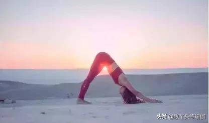 下犬式的好处,每天下犬式有什么好处