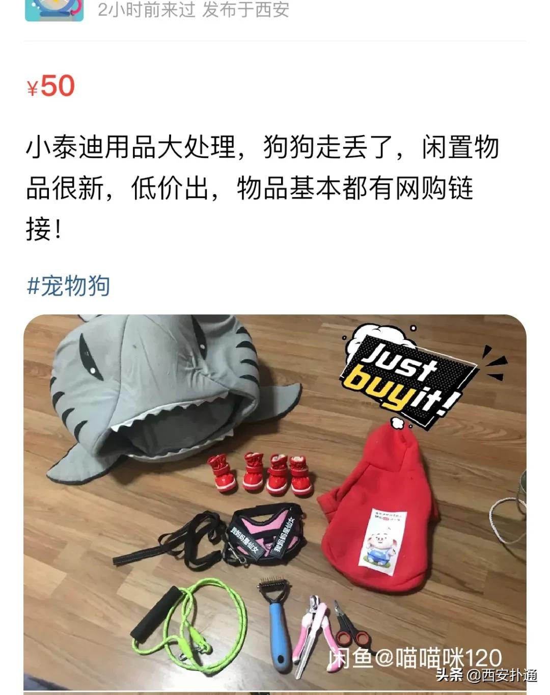 给狗相亲，代吃代喝...西安人在闲鱼上到底在卖啥？