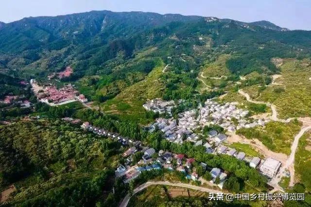 乡村振兴典型项目,乡村产业振兴十大标杆模式