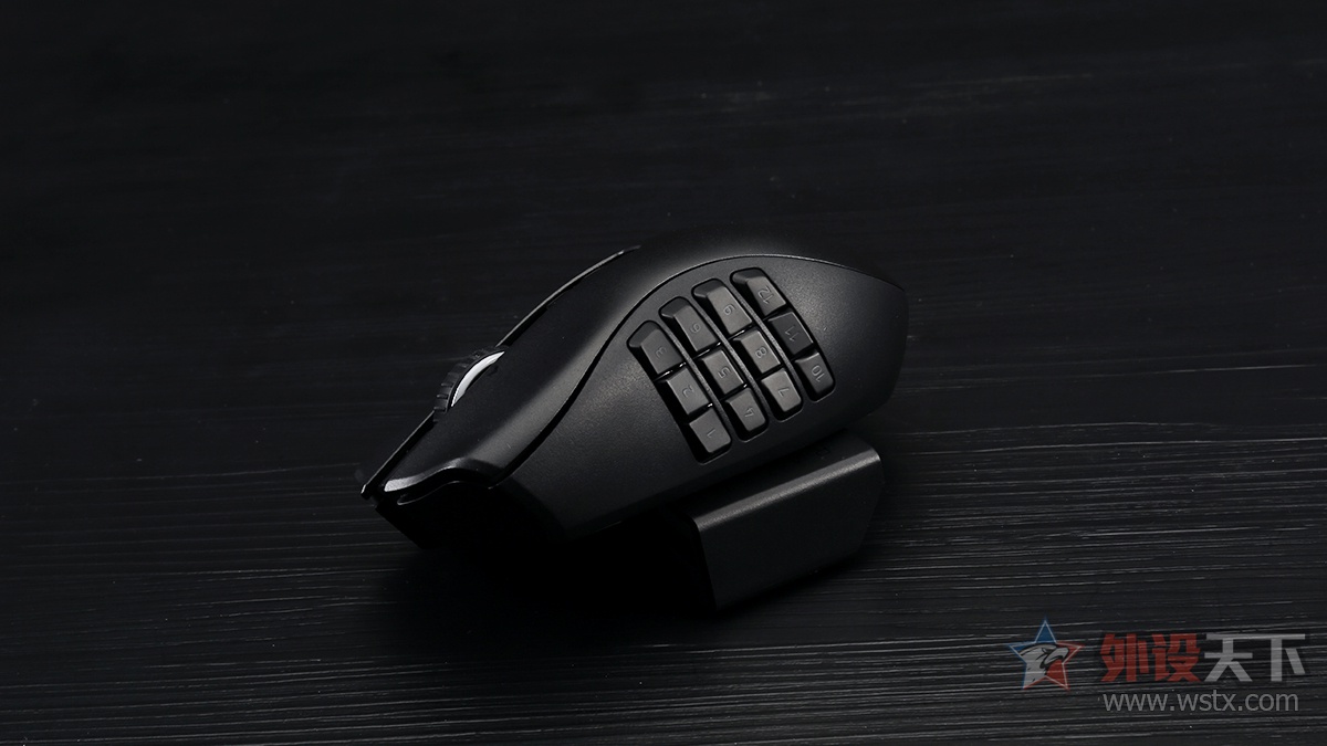 雷蛇那伽梵蛇鼠标宏,雷蛇那伽梵蛇专业版怎么装电脑上