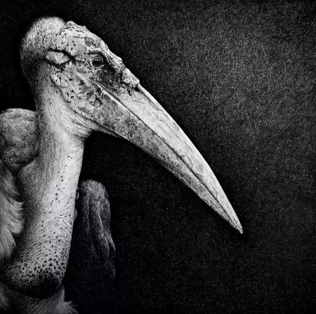 小央美钢笔画视频,极品五大钢笔画简直美爆