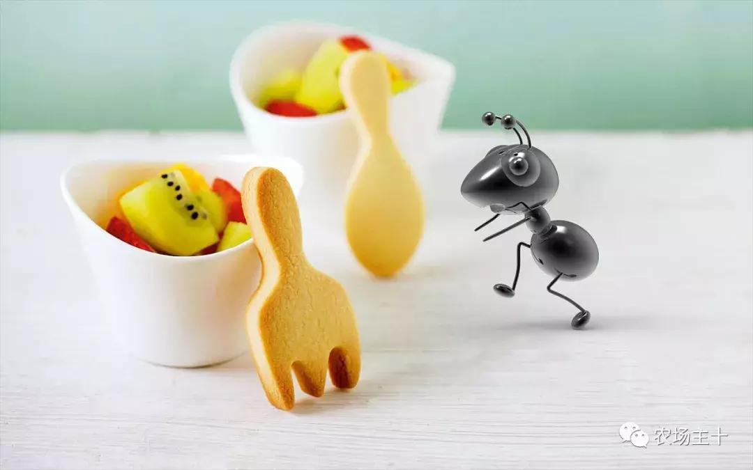 从零开始打造一个优质亲子农庄,从亏损近2亿到盈利35亿的逆袭