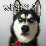 斜杠小伙兼职靠谱吗,斜杠青年就是做副业吗