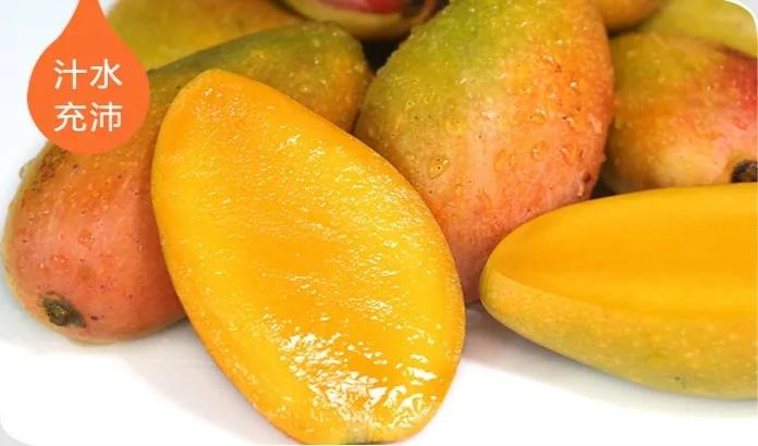 香甜的大芒果海南贵妃芒,芒果味浓郁贵妃芒