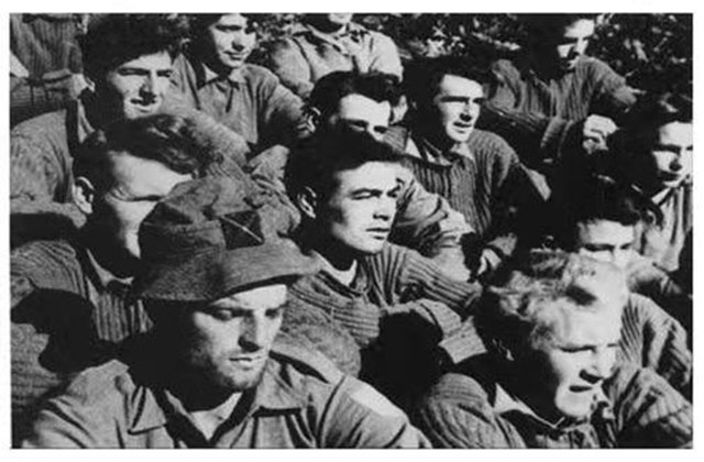 中国狙神张桃芳动画叫什么,中国狙神张桃芳短视频