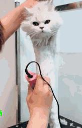 摄影点评人像风景,摄影单反相机点评