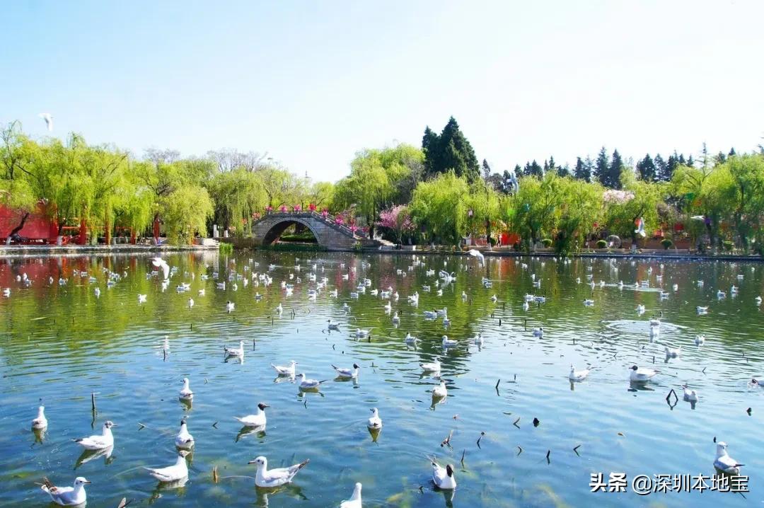 深圳特价往返机票购买攻略,深圳出发哪条国内航线的机票便宜