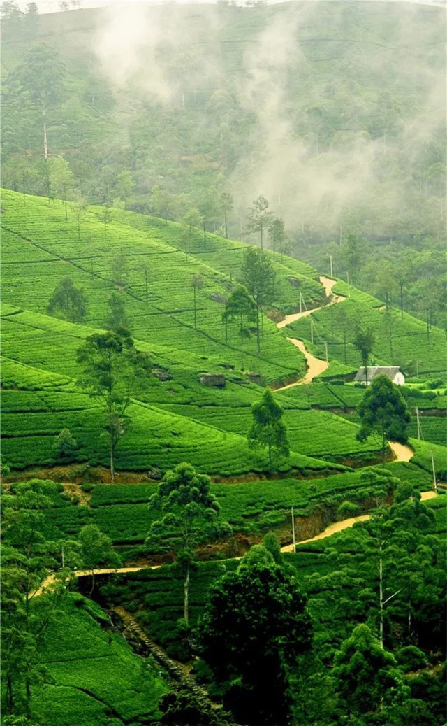 缓解眼睛疲劳动态图壁纸,好看的手机壁纸护眼高清图文