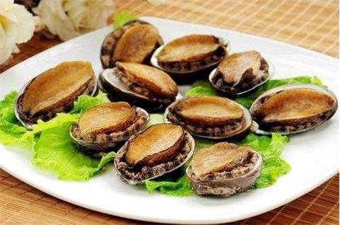 第一次吃鲍鱼记录一下,第一次吃鲍鱼怎么说