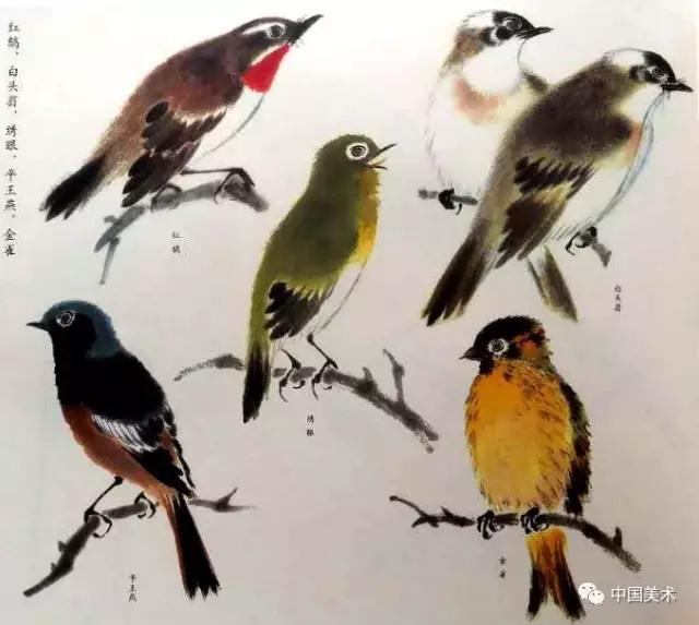 禽鸟画教程,最简单的禽鸟画法