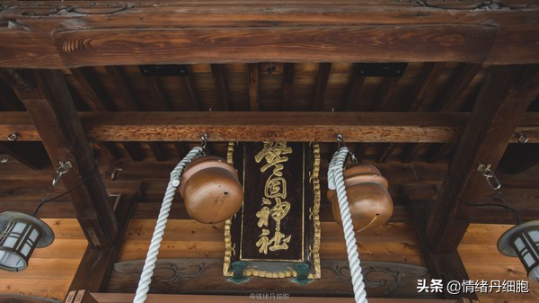 皇家加勒比邮轮量子号新加坡出发,皇家加勒比海洋量子号邮轮之旅