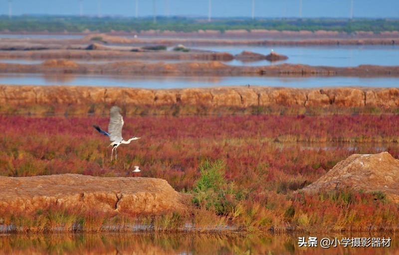既能拍人像又能拍风景的镜头佳能,尼康80-400vr防抖全画幅镜头评测