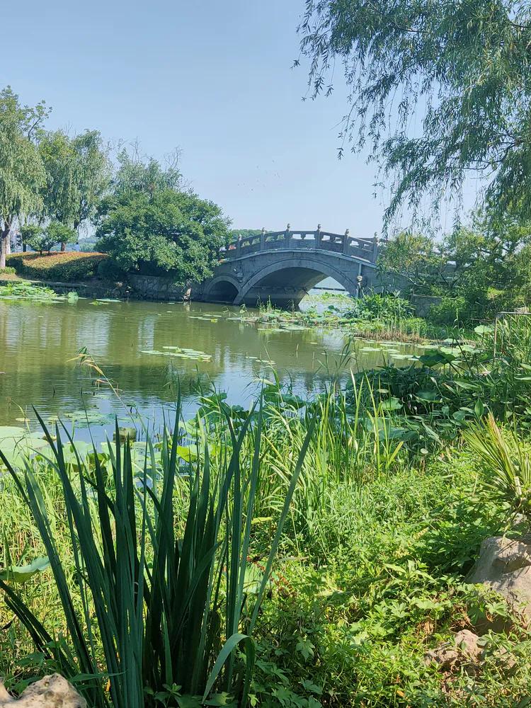 曾作为禁地，与外界隔绝二百六十多年的“玄武湖”，今日锣鼓喧天