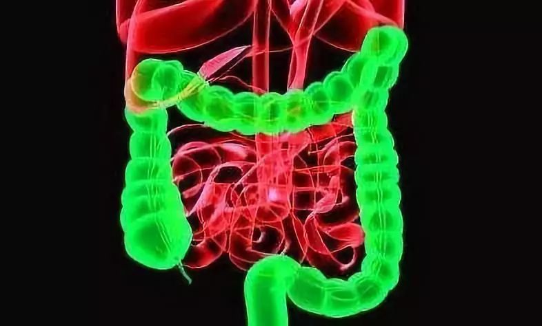 结肠癌的发生和治疗,都不要忽略肠道菌群