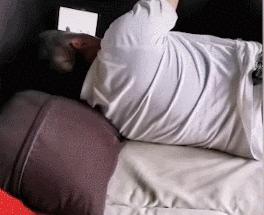 小卖部老板养了一只招财猫,店老板养的猫咪