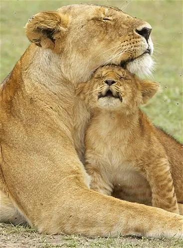 令人动容的图片,令人动容的电影大全