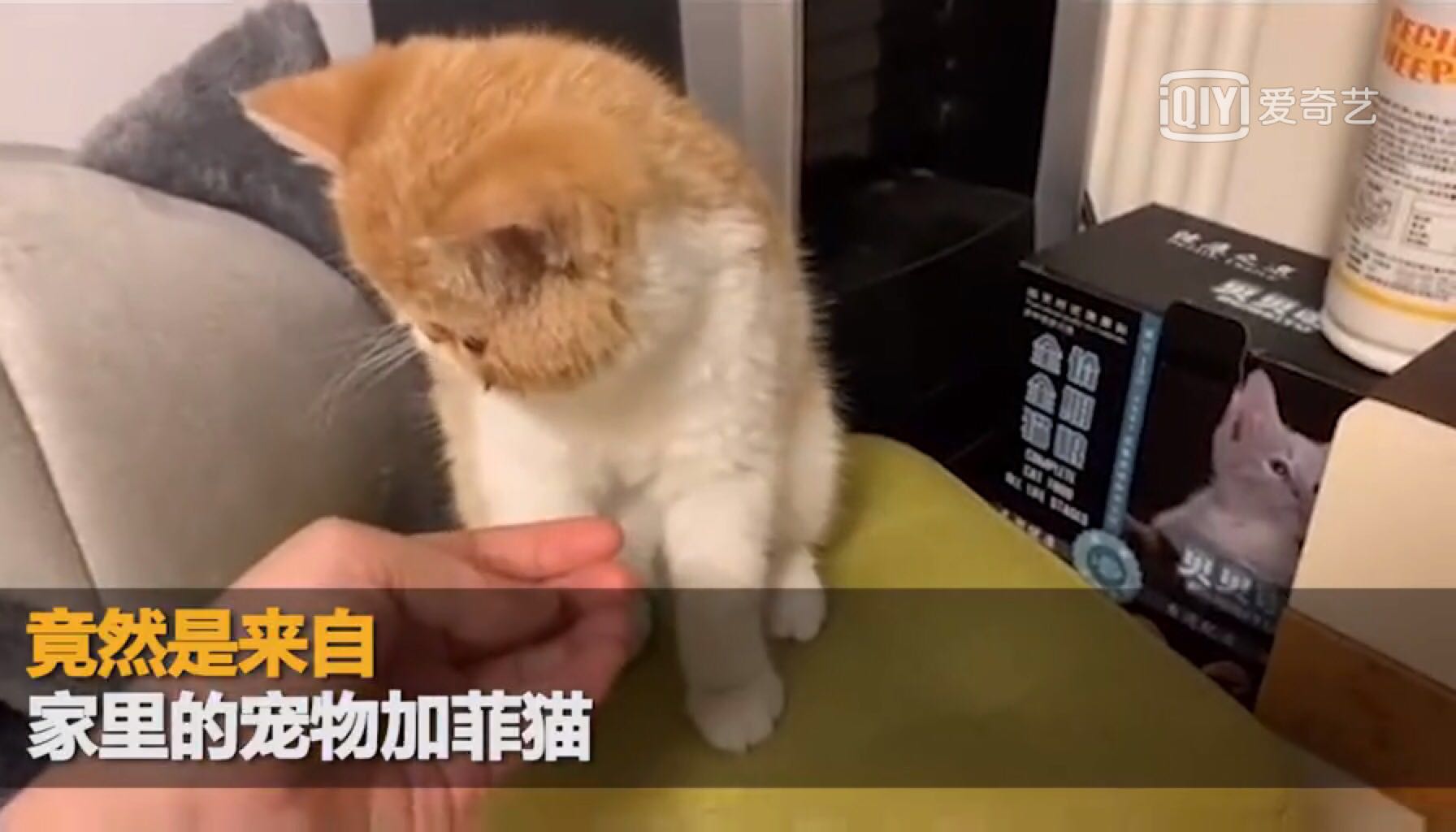 厦门小姐姐满脸红痘,竟是脚气上脸!到底发生了什么?