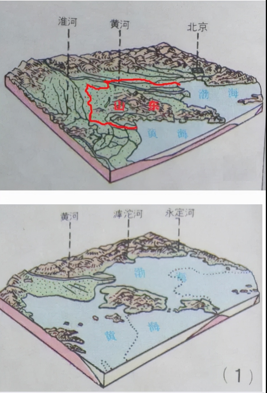 王雷亭简历,王雷亭