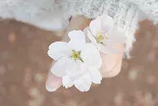 水样白带无色无臭是什么妇科炎症,月经白带都正常有妇科炎症吗