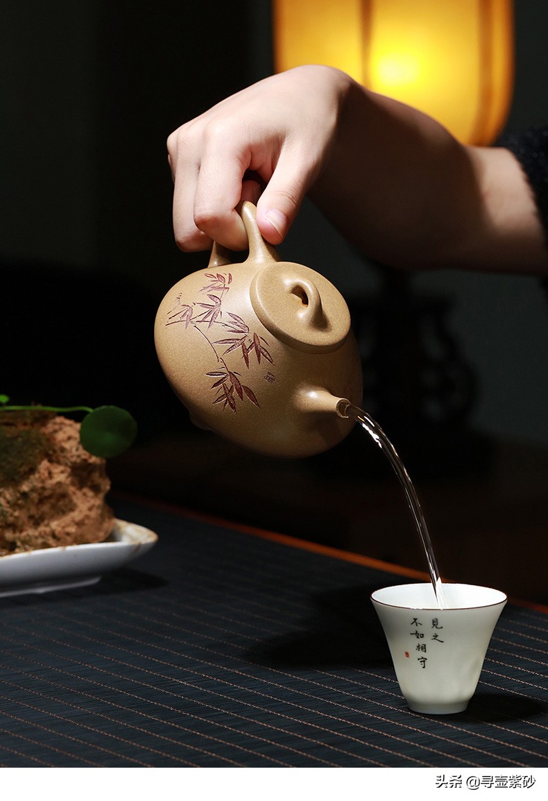 壶说茶道壶话人生完整版,壶说人生