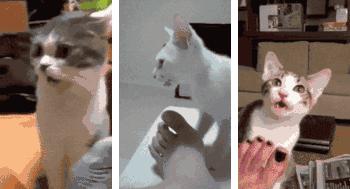 fila艺术家跑步鞋,fila设计师签名款