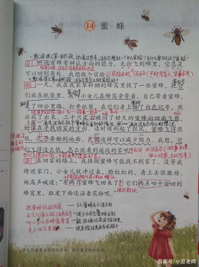 三年级下册语文15课蜜蜂讲解,三年级下册课文蜜蜂课后作业图表