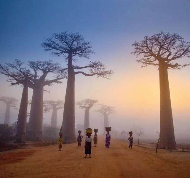 什么是非洲?这12处惊艳之地告诉你