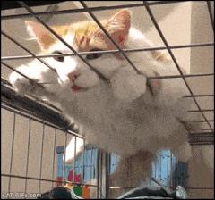 二手影视网站,二手网站在哪里