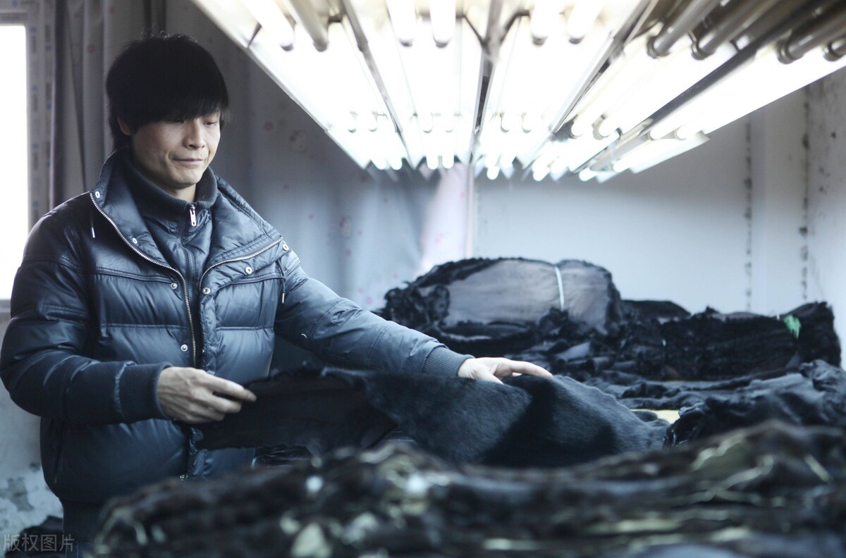 为什么市场上有价格低的皮草,皮草为什么越来越少了