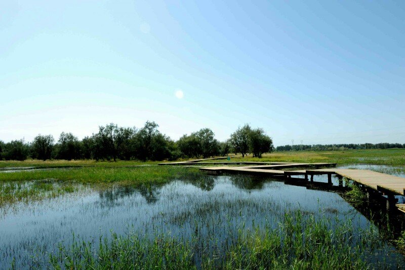 金昌武威张掖酒泉嘉峪关,甘肃金昌的房子值得购买吗