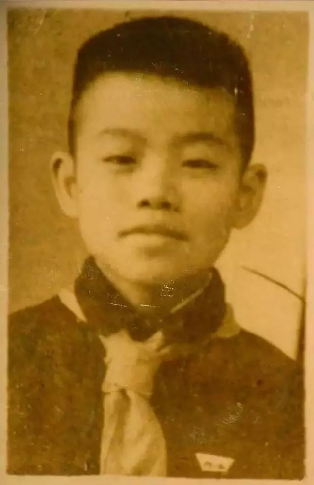 叶永烈真实死因揭秘,著名作家叶永烈去世