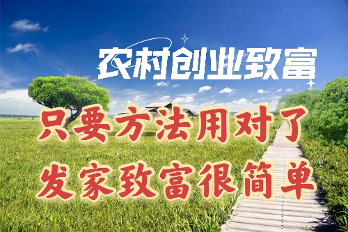 新手创业好项目，特别适合回乡创业者，有你感兴趣的项目吗？