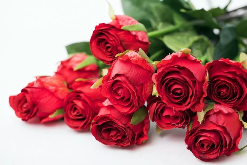 香槟玫瑰花语是什么,十一朵粉色玫瑰花语