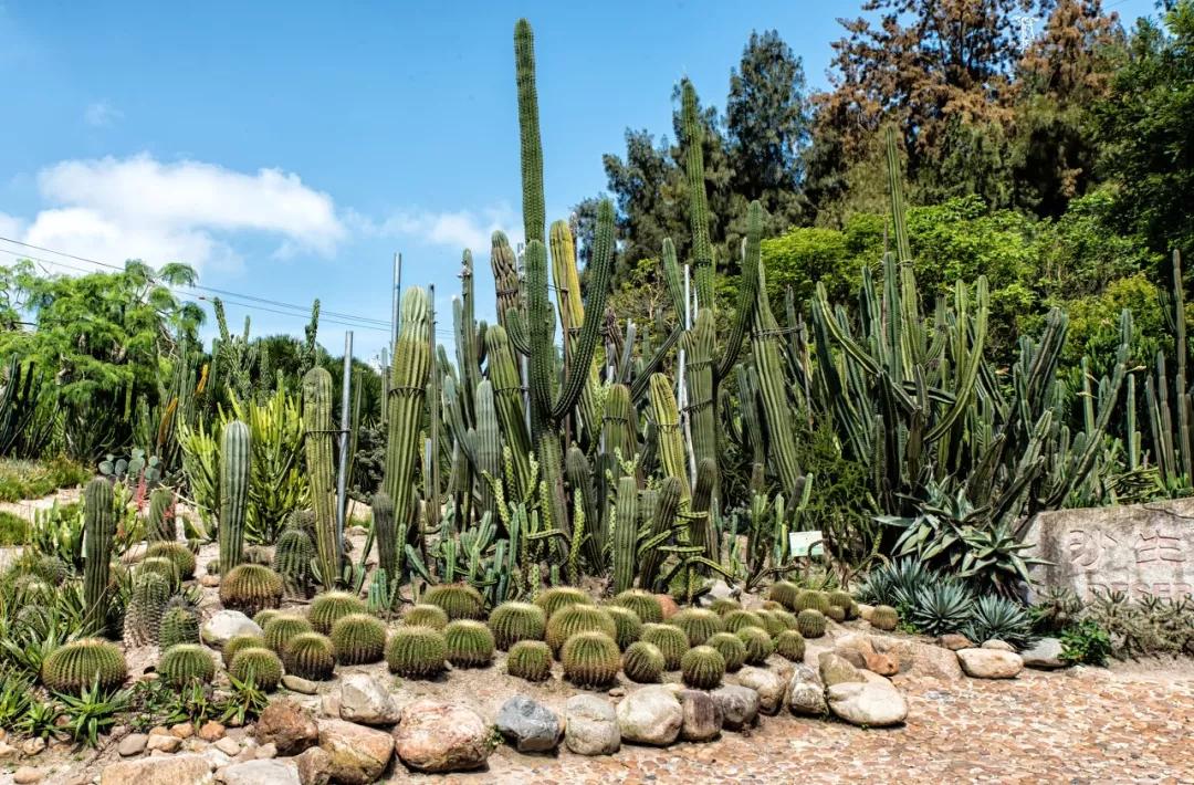 北京冬天亲子旅游攻略,8个国内亲子游旅行地推荐