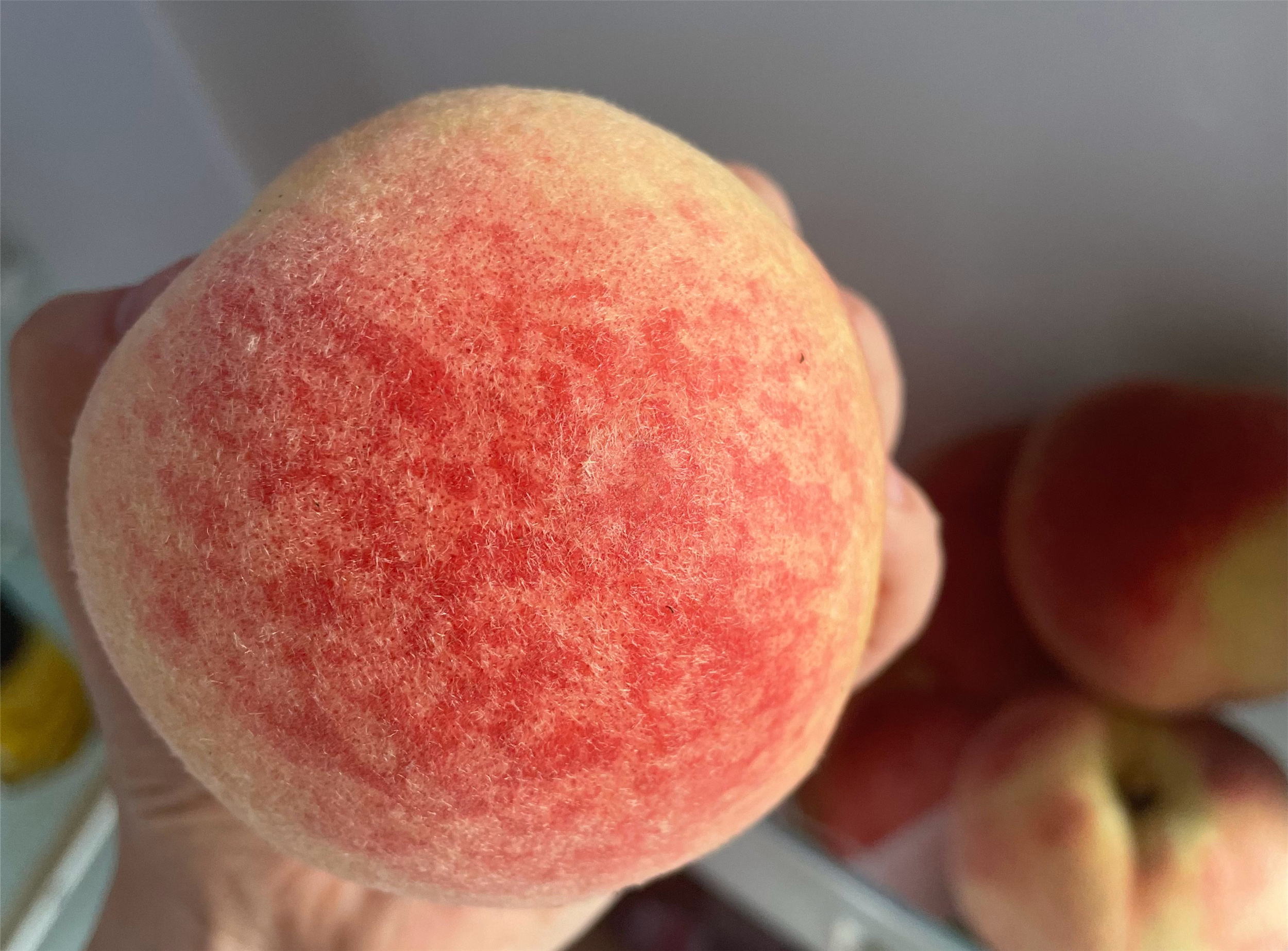 公桃和母桃子的区别 (桃子是硬桃好还是软桃甜好)